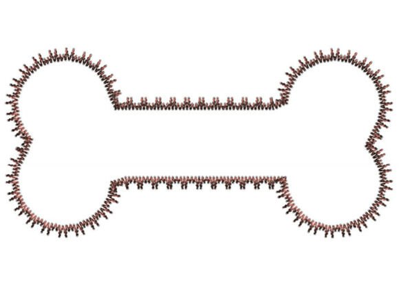 Elegant Dog Bone Embroidery Design Review